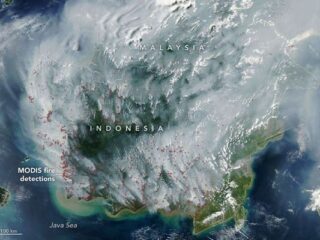 Indonesia Terbakar Perlahan: Ketika Kekeringan Menjadi Krisis Kemanusiaan