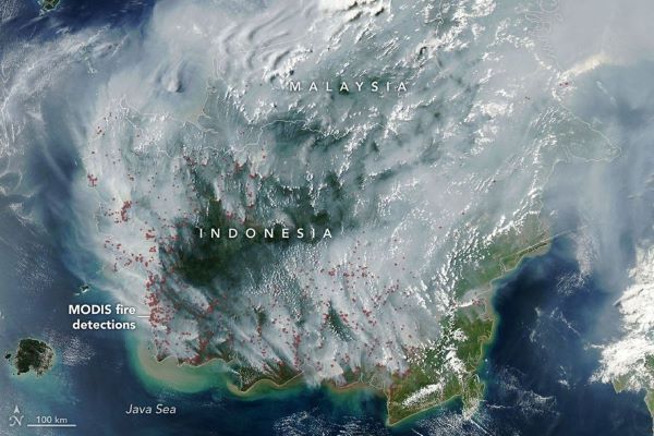 Indonesia Terbakar Perlahan: Ketika Kekeringan Menjadi Krisis Kemanusiaan